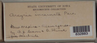 Image Associated With the Occurence